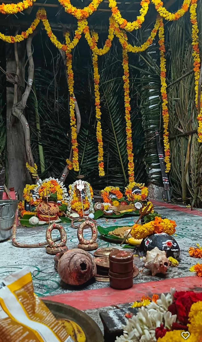 Sri Agastheeswara Siva Temple, Pakala photo 4