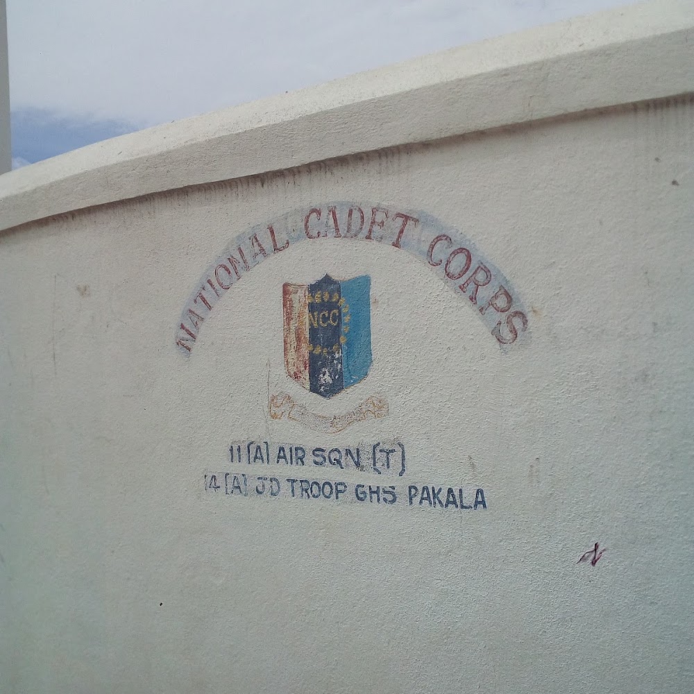 Government High School, Junior & Degree College, Pakala