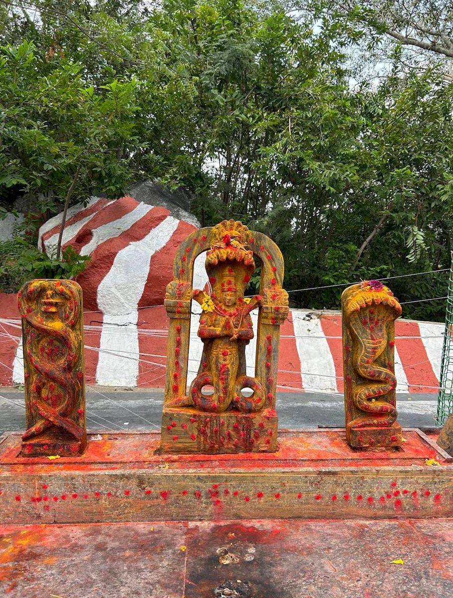 Sri Subramanya Swamy Temple, Pakala photo 12